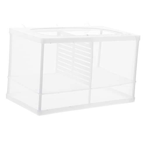 Hohopeti Fish Tank Isolator Mit Saugnäpfen Multifunktionale Aquarium-Hatchery-Box Für Guppys Und Betta-Fische Große Kapazität Material Transparente Sicht Zur Einfachen Beobachtung von Hohopeti
