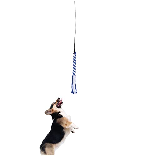 Hohopeti Flirtstange Ausziehbare Stange Für Hunde Bastelspielzeug Welpen Jagen Pole Chasing Tail Teaser Interaktives Welpenspielzeug Hundeübung Hundeseilstange Konzentrieren Spielzeughund von Hohopeti