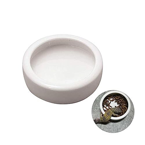 Hohopeti Crawler Antischwimmendes Futterbecken für Garnelen und Reptilien Futter und Wasserschale Langlebig für Aquarien und Terrarien von Hohopeti