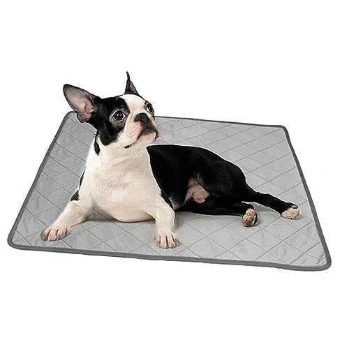Hohopeti Sommer-Kühlmatte für Hunde multifunktionales Haustier-Urin-Pad rutschfestes Haustier-Kühlkissen große Pads für Hunde Hohopeti Sommer-Kühlmatte für Hunde multifunktionales Haustier-Urin-Pad rutschfestes Haustier-Kühlkissen große Pads für Hunde von Hohopeti