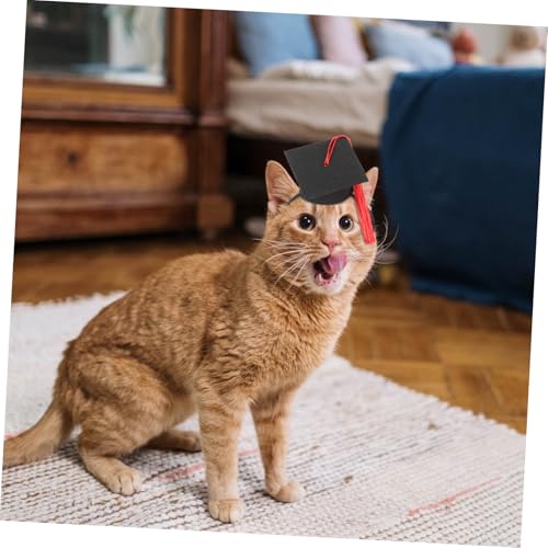 Hohopeti Hund Abschlussmütze und Fliege für Kleine Haustiere Verstellbares Haarband Weiches Material Langlebig und Bequem für Hunde Katzen Mäuse und Igel Festliches Accessoire zur von Hohopeti