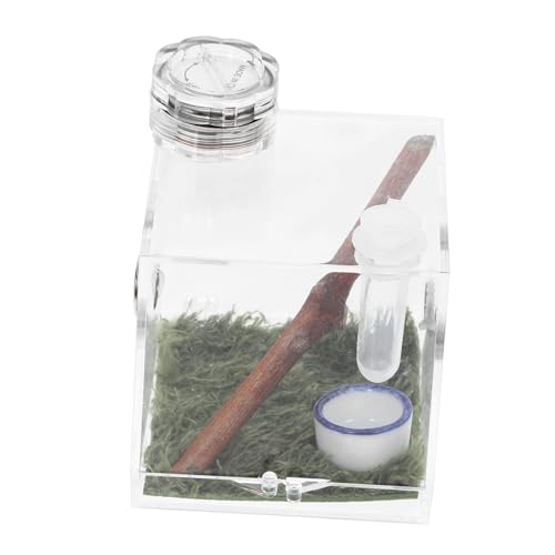 Hohopeti Kasten Springspinnen-Zuchtbox Springender Spinnenlebensraum Sprungspinnengehege Tank Spinnenfutterbox Spinnenbeobachtungsbox gehäuse Zuchtträger Spinnenfall Holz von Hohopeti