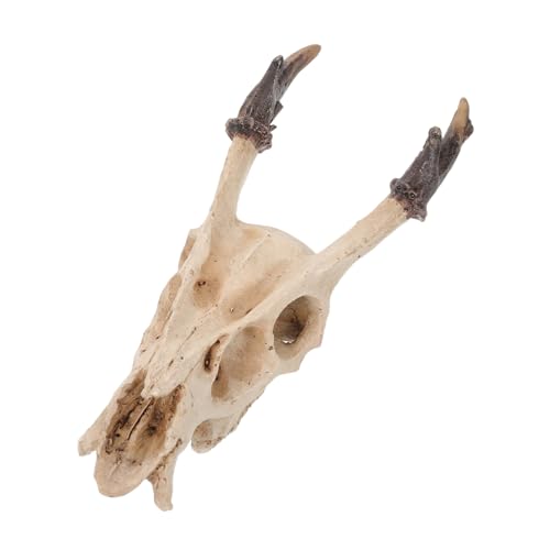 Hohopeti Lebensechtes Reptilienversteck Schädel aus Stabilem Resin Versteckhöhle für Schlangen Schildkröten und Echsen Aquarium Ornament für Fischbecken und Terrarien Mittelgroßer Skull für von Hohopeti