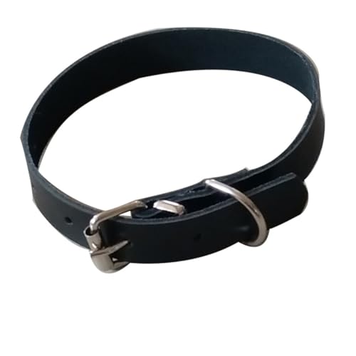 Hohopeti Luxuriöses Verstellbares Hundehalsband aus Rindsleder für Kleine und Mittelgroße Hunde Komfortabel Strapazierfähig Design Welpen und Haustierhalsband in Schwarz von Hohopeti