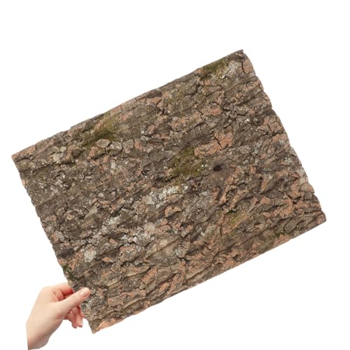 Hohopeti Natürliche Korkrinde Terrarienrückwand Reptilien Klettern Baumrinde Dekoration für Schlangen Eidechsen und Landschildkröten Terrarium Hintergrund Hohopeti Natürliche Korkrinde Terrarienrückwand Reptilien Klettern Baumrinde Dekoration für Schlangen Eidechsen und Landschildkröten Terrarium Hintergrund von Hohopeti