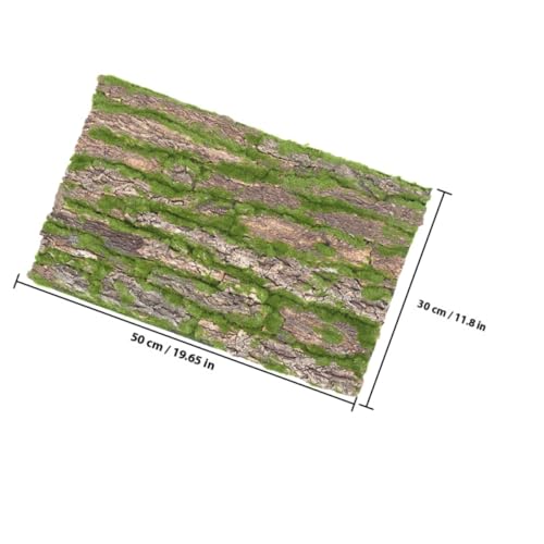Hohopeti Natürliche Terrarium Baumrinde Reptilien Kletterrinde Wiederverwendbar Robust Dekoration für Reptilien Käfig und Aquarium Hintergrund Hohopeti Natürliche Terrarium Baumrinde Reptilien Kletterrinde Wiederverwendbar Robust Dekoration für Reptilien Käfig und Aquarium Hintergrund von Hohopeti