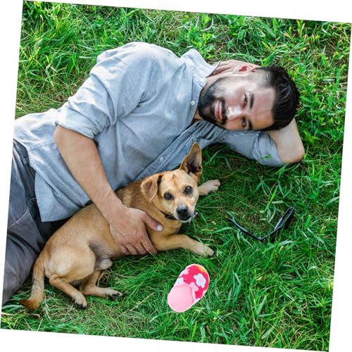 Hohopeti Plüsch Hundespielzeug Slipper Design Squeaky Kauspielzeug Welpen Zahnpflege Interaktives Haustier Kuschelig Robust Sicher für Kleine Mittelgroße Hunde von Hohopeti