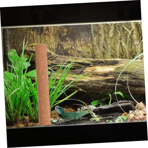 Hohopeti Reptilien Kletterstab aus Holz Nachhaltiges Zubehör für Bartagamen und Eidechsen Glatte Oberfläche mit Runden Kanten Fördert Bewegung und Koordination im Terrarium Hohopeti Reptilien Kletterstab aus Holz Nachhaltiges Zubehör für Bartagamen und Eidechsen Glatte Oberfläche mit Runden Kanten Fördert Bewegung und Koordination im Terrarium von Hohopeti