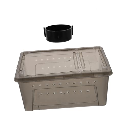 Hohopeti Reptilien Zuchtbox Teiliges Kunststoff Terrarium mit Belüftung Löchern Geeignet für Schildkröten Eidechsen und Spinnen Einfach zu Montieren und Langlebig als Reptilien Gehege und von Hohopeti