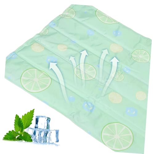 Hohopeti Sommerliche Kühlmatte für Haustiere Gel Kühlpad für Hunde Katzen Hitzeabsorbierend rutschfest Vielseitig für Körbchen Böden Reisen und Ganzjährigen Hohopeti Sommerliche Kühlmatte für Haustiere Gel Kühlpad für Hunde Katzen Hitzeabsorbierend rutschfest Vielseitig für Körbchen Böden Reisen und Ganzjährigen von Hohopeti