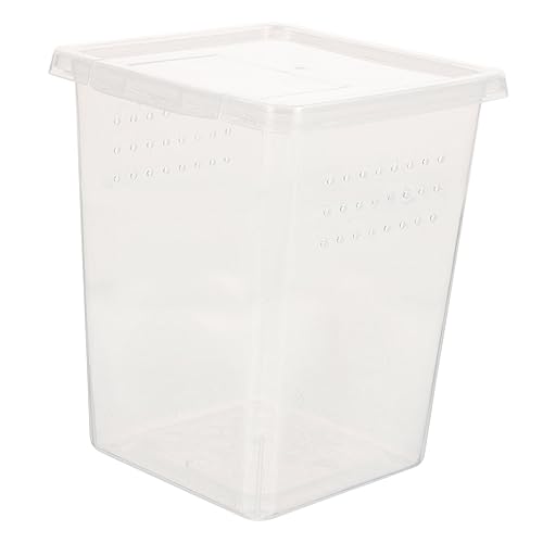 Hohopeti Transparente Reptilien Aufzuchtbox aus Robustem Material Leichte Fütterungsbox für Kleine Haustiere Wie Geckos und Spinnen Kompakter Praktischer Terrarienbehälter für Insekten und von Hohopeti