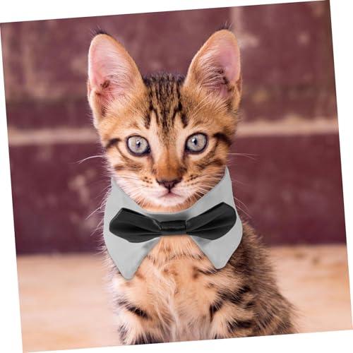 Hohopeti Verstellbares Haustier-hundehalsband mit Formeller Fliege Leichtes Süßes - Einstellbar für Kleine Hunde und für Fotoshootings und Festtage von Hohopeti