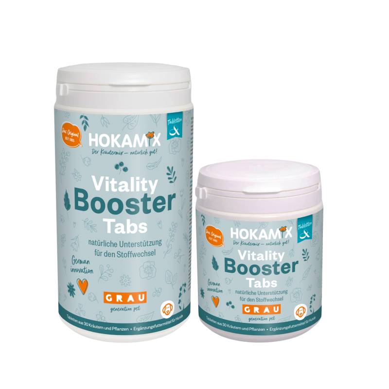 Hokamix Vitality Booster Tabletten - 200 Stück Hokamix Vitality Booster Tabletten - 200 Stück von Hokamix