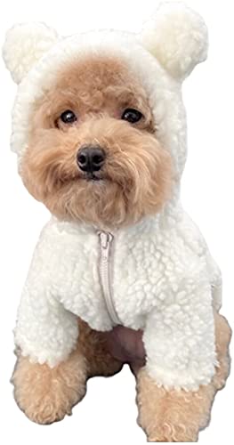 Teddybär Hundekostüm, süßes Hundekostüm, Welpen Fleece Hoodie Mantel Kleidung (Beige, L) von HOKUTO