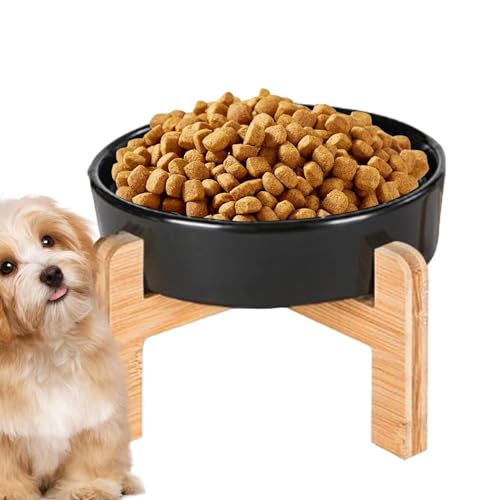 Holdes Erhöhte Hundenäpfe für Hunde, erhöhte Keramiknäpfe für Katzen, Hundegeschirr gegen Verschütten, langsames Futternapf für Hunde, Futterbehälter, Futtermittelbehälter, Futtermittel Holdes Erhöhte Hundenäpfe für Hunde, erhöhte Keramiknäpfe für Katzen, Hundegeschirr gegen Verschütten, langsames Futternapf für Hunde, Futterbehälter, Futtermittelbehälter, Futtermittel von Holdes
