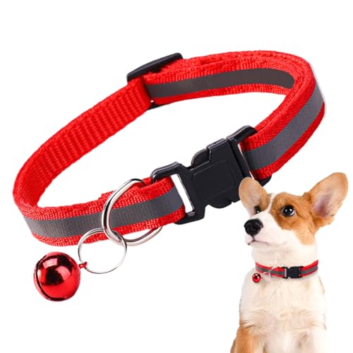 Holdes Hundehalsband, reflektierendes Halsband mit Klappern, UV-beständiges Material für Outdoor-Erkundung, Spaziergänge, Wandern und Training Holdes Hundehalsband, reflektierendes Halsband mit Klappern, UV-beständiges Material für Outdoor-Erkundung, Spaziergänge, Wandern und Training von Holdes