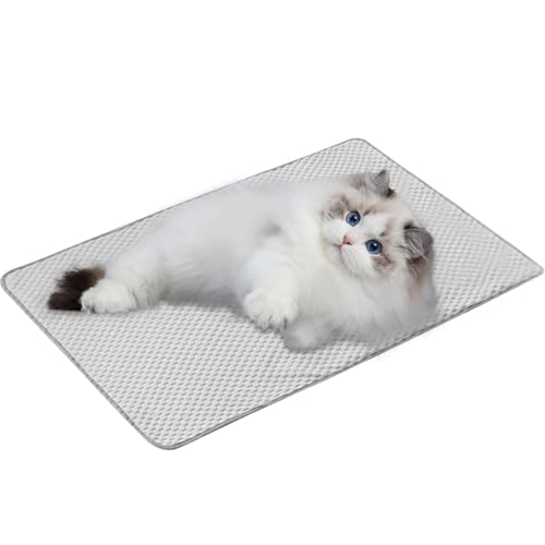 Holdes Kühlkissen für Hunde, Kühlmatte für Haustiere,Kühlendes Katzenbett - Kühlendes Haustier für den Sommer, Kühlkissen für Hunde, drinnen und draußen, für Hunde, Katzen, Welpen, Kätzchen, Kinder, Holdes Kühlkissen für Hunde, Kühlmatte für Haustiere,Kühlendes Katzenbett - Kühlendes Haustier für den Sommer, Kühlkissen für Hunde, drinnen und draußen, für Hunde, Katzen, Welpen, Kätzchen, Kinder, von Holdes