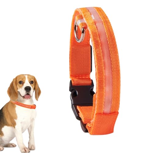 Holdes Leuchtendes Halsband mit Blinklicht für Hunde, tragbares Sicherheitshalsband, leuchtet im Dunkeln, für mittelgroße Welpen, Haustiere Holdes Leuchtendes Halsband mit Blinklicht für Hunde, tragbares Sicherheitshalsband, leuchtet im Dunkeln, für mittelgroße Welpen, Haustiere von Holdes