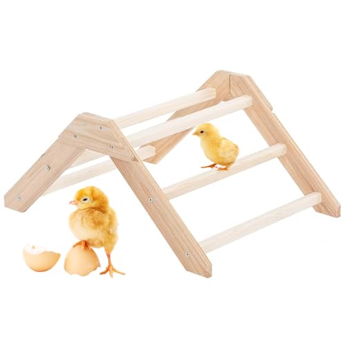 Holdes Sitzstange für Sitzstange – Trainingsständer aus Holz für Küken – rutschfeste Sitzstange für Vögel und Nagetiere Holdes Sitzstange für Sitzstange – Trainingsständer aus Holz für Küken – rutschfeste Sitzstange für Vögel und Nagetiere von Holdes