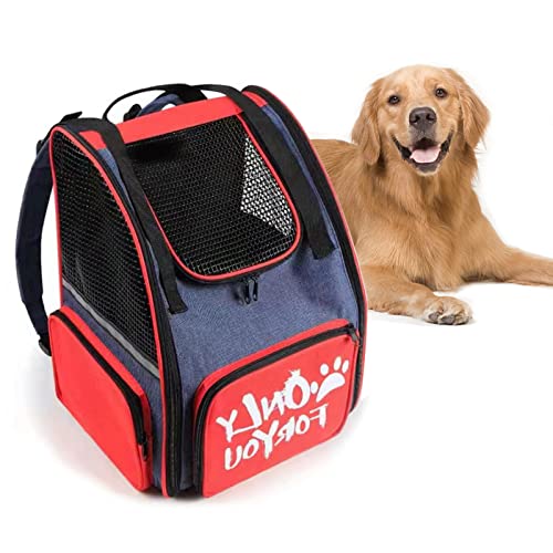 Holdes Transporttasche für Haustiere – Belüfteter Rucksack für Katzen ausziehbar | Rucksack für Katzen, ausziehbar, verstärkte Struktur, Sonnenblende für kleine Hunde, Katzen und Hunde Holdes Transporttasche für Haustiere – Belüfteter Rucksack für Katzen ausziehbar | Rucksack für Katzen, ausziehbar, verstärkte Struktur, Sonnenblende für kleine Hunde, Katzen und Hunde von Holdes