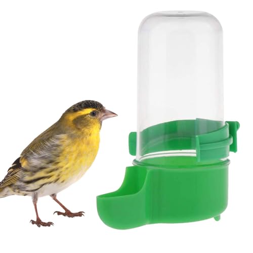 Vogeltrinker, 200 Ml Selbstversorger Wasserbrunnen Zum Aufhängen, Kle iner Vogelbrunnen Lässt Sich Leicht Am Käfig Für Sittiche, Kanarienvögel Oder Ähnliche Kleine Vögel Befestigen Vogeltrinker, 200 Ml Selbstversorger Wasserbrunnen Zum Aufhängen, Kle iner Vogelbrunnen Lässt Sich Leicht Am Käfig Für Sittiche, Kanarienvögel Oder Ähnliche Kleine Vögel Befestigen von Holdes