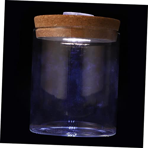 Holibanna 1 Stück Landschaftsflasche Terrarien Tank Wasser Mini Fischaquarium Miniatur led ligts led-Light Pflanzen Wohnkultur Glasflasche mit Deckel Glas mit hohem Borosilikatgehalt Weiß von Holibanna
