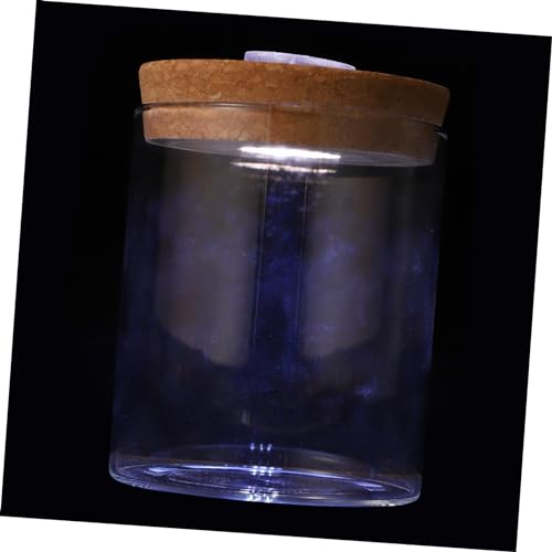 Holibanna 1 Stück Landschaftsflasche led ligts led-Light fischpfannen blumenstecker raumdeko dekorativ Aquarium Landschaftsbastelflasche Ökologische Flasche aus Borosilikatglas Holz Weiß von Holibanna