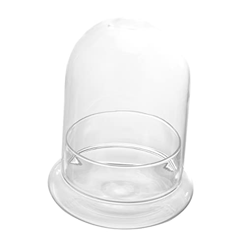 Holibanna 1Stück Landschaft DIY Glasflasche Pflanzenvase für Terrarium Hochwertiges für Flaschengarten Projekte und Langlebig für Kreative von Holibanna