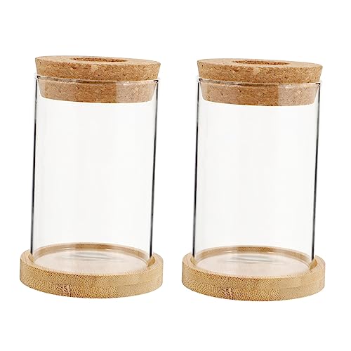 Holibanna 2 Stück Eco-Flasche Pflanze Terrarium Glas drinnen Pflanzenterrarium evengers einmachgläser Glaswaren hochzeitsdeko Terrarium für Hydrokulturpflanzen Glasvase hölzern Transparent von Holibanna