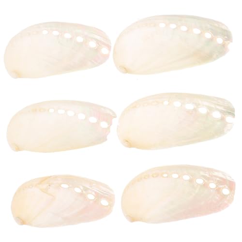 Holibanna 6 Stück Teiliges Abalone Muschelset Natürliche Ozeandekoration Vielseitig Verwendbar als Tischdeko Strand und Hochzeitsdekor Aquarium Ornament Handverlesen Holibanna 6 Stück Teiliges Abalone Muschelset Natürliche Ozeandekoration Vielseitig Verwendbar als Tischdeko Strand und Hochzeitsdekor Aquarium Ornament Handverlesen von Holibanna