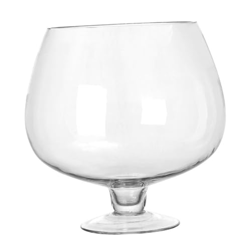 Holibanna Glas Goldfischglas Kleines Aquarium Durchsichtig Für Den Tank Fischzubehör Fischbedarf Bürozubehör Bürobedarf Transparent von Holibanna