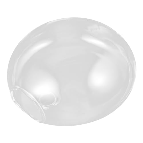 Holibanna Glasvase Für Hydrokultur Pflanzen Terrarium Wandhalterung Blumenvase Glasvasen Innenzierde von Holibanna