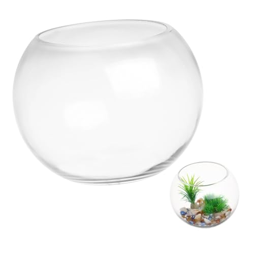 Holibanna Kleiner Glasfischbehälter Transparente Rundschale für Goldfische Desktop Aquarium für Büro und Wohnzimmer Vielseitig für Fische Pflanzen und Dekoration von Holibanna