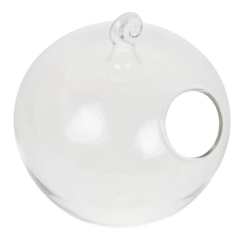 Holibanna Ornament Ausstellungsständer DIY Terrarien Kits Hängende Fischschale Sukkulentenvase Mit Ständer Sukkulenten Terrarien Kit Glas Aquarium Tischplatte Glas Hängepflanzer von Holibanna