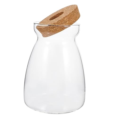 Holibanna Terrarium Glasbehälter Für Hydroponische Pflanzen Großer Ökosystem Behälter Für Mikrolandschaften Transparentes Design Für Stilvolle Innenraumdekoration Für Sukkulenten von Holibanna