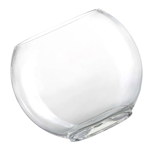 Holibanna Transparentes Goldfischbecken Glasvase Für Blumen Und Fische Desktop Aquarium Für Büro Und Zuhause Terrarium Für Kreative Dekoration von Holibanna