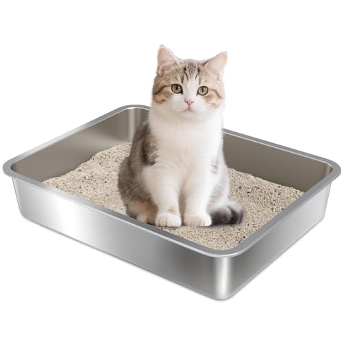 Holintan Edelstahl-Katzentoilette, kleine bis mittelgroße Katzentoilette für Kätzchen, 45 x 34,8 x 10,2 cm, leicht zu reinigen, antihaftbeschichtet, einfacher Einstieg, kein Geruch Holintan Edelstahl-Katzentoilette, kleine bis mittelgroße Katzentoilette für Kätzchen, 45 x 34,8 x 10,2 cm, leicht zu reinigen, antihaftbeschichtet, einfacher Einstieg, kein Geruch von Holintan