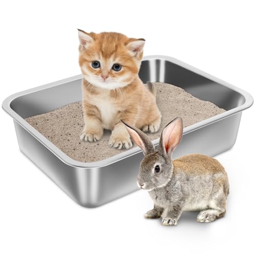 Holintan Edelstahl-Katzentoilette für Kätzchen, 40 x 30 x 10 cm, kleine Katzentoilette für Kätzchen, einfacher Einstieg, geruchlos, leicht zu reinigen, Metall-Klo für Katze, Kaninchen, Meerschweinchen Holintan Edelstahl-Katzentoilette für Kätzchen, 40 x 30 x 10 cm, kleine Katzentoilette für Kätzchen, einfacher Einstieg, geruchlos, leicht zu reinigen, Metall-Klo für Katze, Kaninchen, Meerschweinchen von Holintan