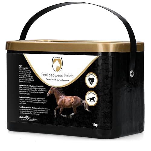 Excellent Equi Algenpellets - Unterstützt Abwehrkräfte, Darmfunktion und Hufgesundheit - Für Pferde geeignet - 1 kg von Holland Animal Care