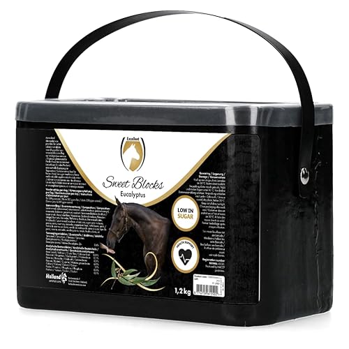 Excellent Sweet Eucalypta Blocks - Der gesunde und schmackhafte Leckerbissen oder Belohnung für das Pferd - Geeignet für Pferde - Eukalyptus - 1,2 kg von Holland Animal Care