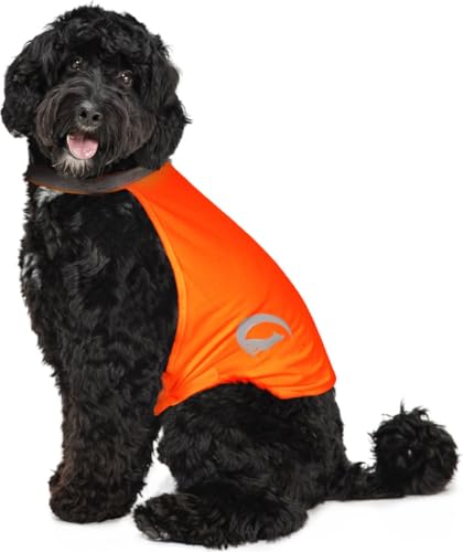 Nightwalk Sicherheitsweste - Rückenlänge 35 cm - Sicherheitsweste Hund - Hundeweste - Reflektierende Sicherheitsweste - Größe M - Orange Nightwalk Sicherheitsweste - Rückenlänge 35 cm - Sicherheitsweste Hund - Hundeweste - Reflektierende Sicherheitsweste - Größe M - Orange von Holland Animal Care