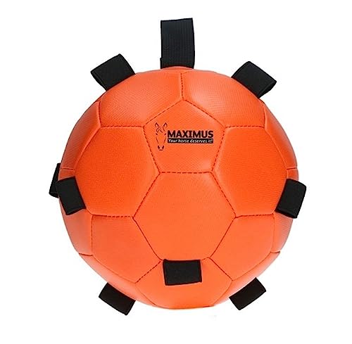 Holland Fun Play Ball - Futterspielball für Pferde - Futterspender - orange von Holland