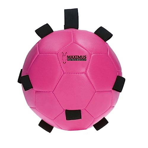 Holland Fun Play Ball - Futterspielball für Pferde - Futterspender - pink von Holland