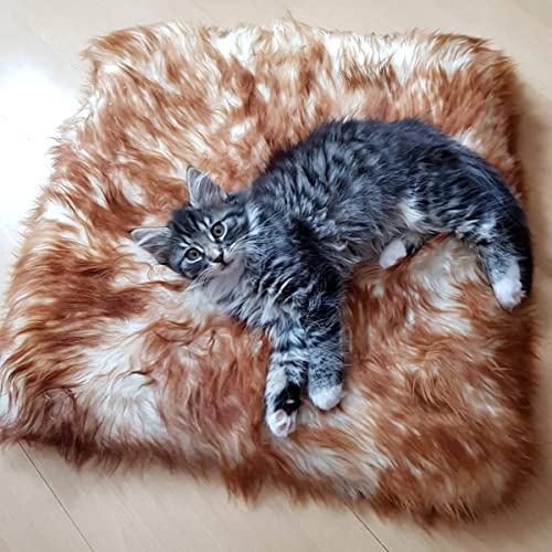 Hollert Lammfell Katzenkissen Stracciatella Katzenbett 45x45 cm echtes Merino Schaffell Kissen Tierbett von Hollert