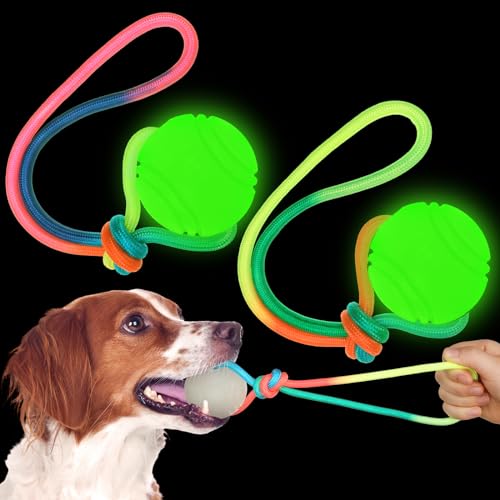 Hollowfly Hundetrainingsball auf Seil, leuchtet im Dunkeln, leuchtet im Dunkeln, 2 Stück, mit Griff, Seil, Hundespielzeug für Zerren, Haustier-Training, Belohnungen, Geschenke, Innen- und von Hollowfly