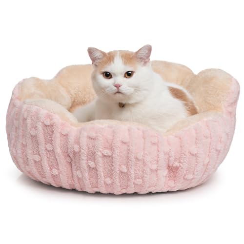 Hollypet Beruhigende Katzenbetten für Indoor-Katzen - Niedliche Kaktus-Haustierbetten, flauschiges Welpenbett, rutschfestes extra kleines Hundebett, Rosa Hollypet Beruhigende Katzenbetten für Indoor-Katzen - Niedliche Kaktus-Haustierbetten, flauschiges Welpenbett, rutschfestes extra kleines Hundebett, Rosa von Hollypet