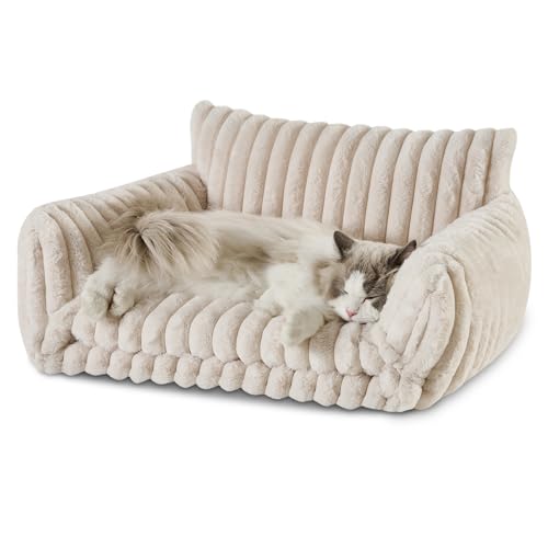 Hollypet Katzenbett, flauschig, Plüsch, multifunktional, doppellagig, weich, orthopädisches Sofa, Nest für kleine Katzen und Hunde, cremefarben (63,5 x 50,8 x 33 cm) von Hollypet