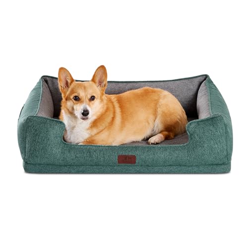 Hollypet Orthopädisches, rechteckiges Hundebett für mittelgroße Hunde, stützendes Schaumstoff-Haustierbett mit abnehmbarem, waschbarem, wasserdichtem Bezug und rutschfester Unterseite, Grün, 81,3 x 61 Hollypet Orthopädisches, rechteckiges Hundebett für mittelgroße Hunde, stützendes Schaumstoff-Haustierbett mit abnehmbarem, waschbarem, wasserdichtem Bezug und rutschfester Unterseite, Grün, 81,3 x 61 von Hollypet