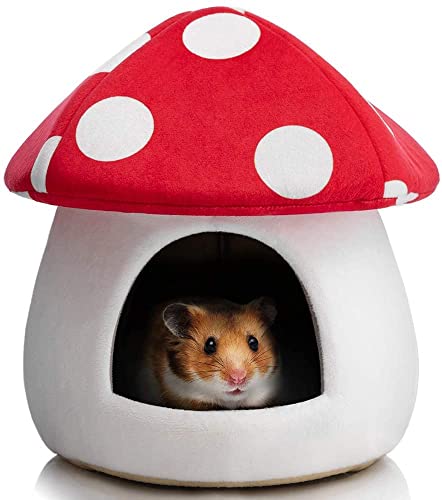 Hollypet Warmes Kleintierbett für Holländische Schweine, Hamster, Baumwolle, Nest für Igel, Ratten, Chinchilla, Meerschweinchen, Mini-Haus, roter Pilz von Hollypet