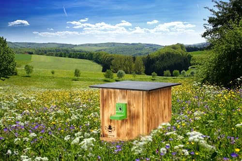 Hummelkasten Hummelhaus Hummelhotel Hummelhäuschen Hummelnistkasten Garten edelgeflammt geflammt mit Sichtscheibe (HG) von Holzdeko-Ma
